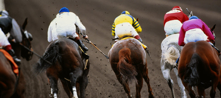 Horse Racing at Racing Entertainment Centres